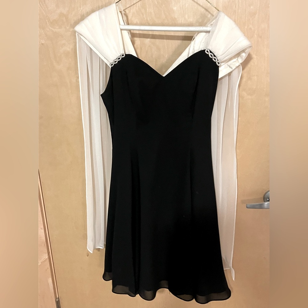 Positively Ellyn- Vintage Formal Dress